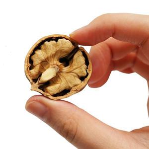 경북 안동 햇 피호두 국산호두 껍질얇은 신품종 호두 500g 1kg