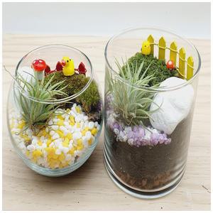 작은숲이끼비바리움화분만들기(유리볼)5인