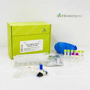 ED4005 최초 감염자를 찾아라! (항원 진단 모의 실험) (5인KIT)