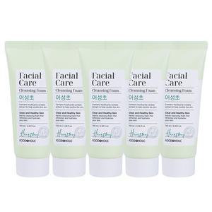 (5개)푸드어홀릭 페이셜 케어 클렌징폼 어성초 100ml /약알칼리성 진정 클렌저