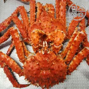 갤러리아 [맘스킹] 속초러브마린 북해도 레드 자숙 킹크랩 3kg(2마리)