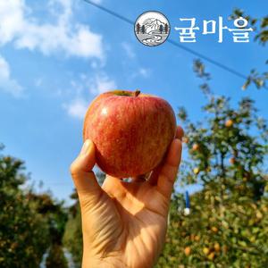 귤마을 경북 못난이 부사사과 5kg (18과내) 대과