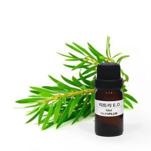 티트리 E.O 50ml, 100ml (에센셜오일)