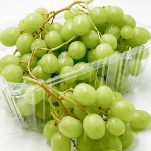 수입산 고당도 씨없는 애플 청포도 오톰크리스피 1kg