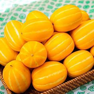 성주참외 특상 꼬마/소과 3kg 15-30과 꿀참외 산지직송 당일수확