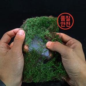DIY 풍경 포도 나무 식물 모델 키트 장면 DIY 미니어처 혁신 재료