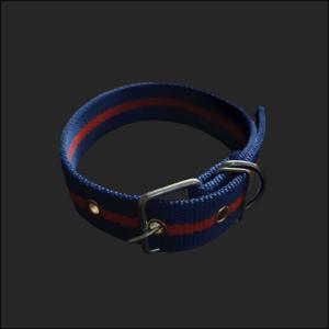 개목줄 PP 특대 30mm 파랑 대형 중형 넥밴드 러프웨어걸이 개줄 개목 튼튼 야외 산책 애견 강아지 진돗개