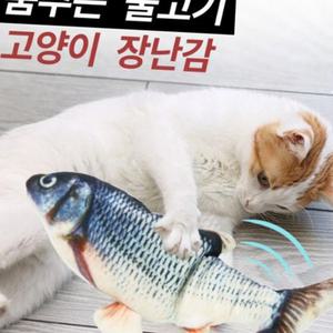 움직이는장난감 고양이 장난감 움직이는 물고기인형 전동식 충전식