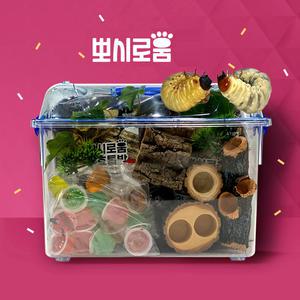 뽀시로움 장수풍뎅이  키우기 기르기 (유충 포함) 집콕키움세트 사육세트