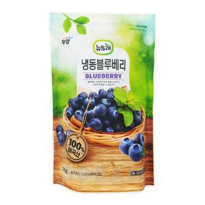 뉴뜨레 미국산 냉동 블루베리 5kg(1kg x 5팩)
