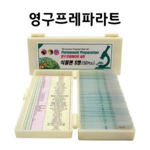 초등과학실험 식물세포 50종 현미경슬라이드 세트 교재 표본 홈스쿨 글라스 관찰 중등