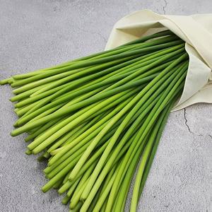 남해 햇 마늘쫑 특품 1kg 30cm 이상)