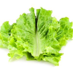 로메인상추 1kg