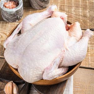 [오링] 국내산 손질 통오리 백숙용 1.6kg (냉장)