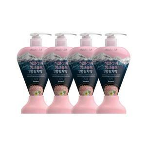 LG생활건강 페리오 히말라야 핑트솔트 담은 펌핑 치약 플로럴민트 285g 4개