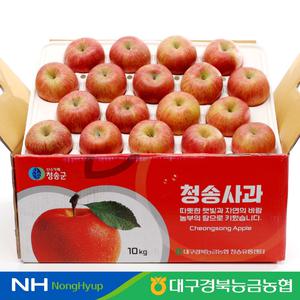 [경북능금농협] 경북 청송 사과 10kg 대용량