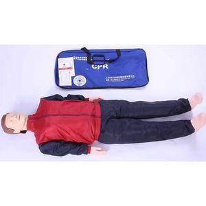 교육용 심폐소생술 인형 마네킨 실습 모형 cpr 애니