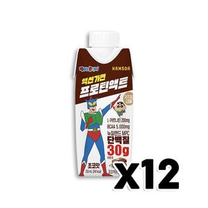 짱구 액션가면 프로틴액트 초코맛 단백질음료 330ml x 12개