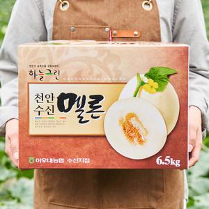 당도선별 고당도 천안 수신멜론 홈런스타 백자 메론