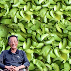 6월2일부터발송 [하동 서윤규농가] 하동 청매로 쪼갠매실 6kg/씨제거/깐매실