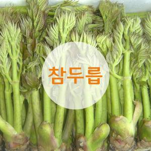 참두릅 1박스(1kg)-싱싱한 오늘입찰 당일상품
