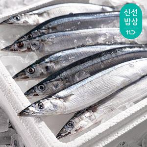 꽁치 구이 조림용 5미(한마리 120g내외) 원양 선동