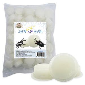 펫츠핸들러 장수풍뎅이&사슴벌레 곤충젤리 고단백 프로틴젤리 16g*80개입 (1.2Kg)