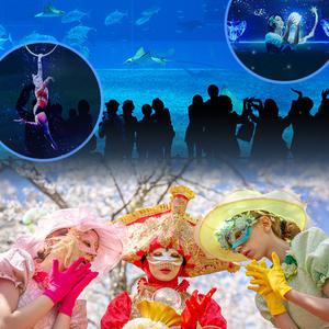 |한정| 제주 완전정복 폭삭 내려수다 아쿠아플라넷 제주 X 에코랜드 테마파크 신규컨텐츠 오픈 기념 (~6/30사용가능) (가볼만한곳/관광/투어/자유여행/가족/친구/연인/아이와함께)