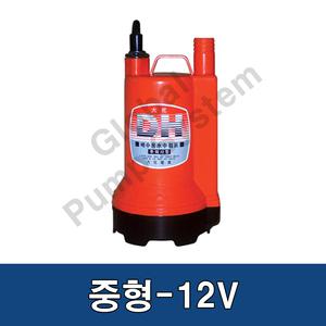 대화전기수중펌프 DPW80-12 중형 DC12V 배수펌프