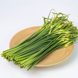 햇 마늘쫑 500g 내외 1단 마늘대 마늘줄기 1인분 소량 국산