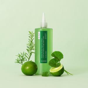 닥터시드 티트리앤라임 비건 지성케어 쿨 탈모 두피 워터 스케일러 500ml