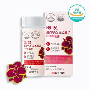 콜레우스 포스콜리 다이어트 레드 포스콜린 정 체지방 감소 다이어트 보조제 비타민B군 영양제