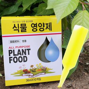 화분 식물영양제 앰플 36ml 10p 다육이 화초 꽃 난