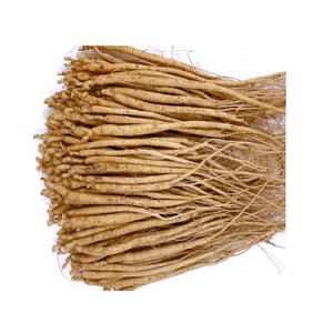 인삼모종(종근 2-3년생 묘삼)750g 약300-600개 di254