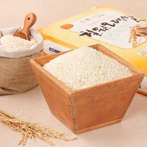 [24년산] 철원오대쌀 10kg