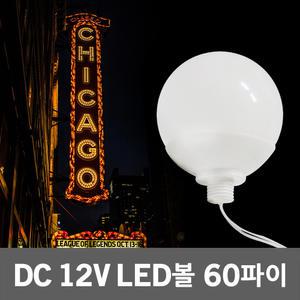 DC12V LED볼 60파이 간판 싸인 테두리 방수 전구 램프 경관 건물 매장 헬스장 테라스 어닝 인테리어 조명