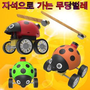 자석으로 가는 무당벌레(5인용)