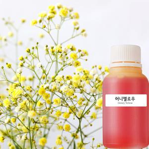 생화 염색 압화 물올림용액 칼라액 21종 원예용품 꽃만들기