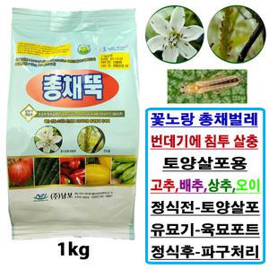 고추 총채벌레 살충방제 총채뚝 입제 약 1kg 배추 상추 오이 콩 알갱이 화분 텃밭 토양살충제 총채퇴치제
