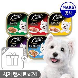 [시저] 강아지캔 100g x24개 /강아지사료