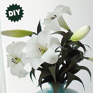 [페이퍼플라워DIY] 백합  종이 꽃 만들기 키트(동영상지원)