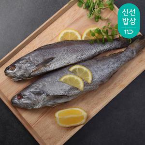 반건조 손질 민어 300g x 3팩 / 국내산 / 제수용