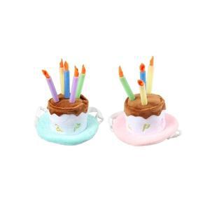 고품질 강아지 생일파티 모자 캣파티 강아지생일파티 고양이모자 (WFHKRF0)