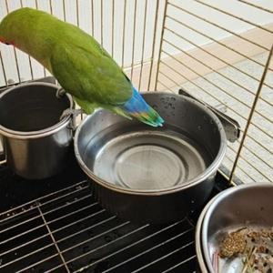 [오너클랜]볼트 걸이형 스텐 앵무새 모이통 중