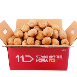 [품질보장] 25년산 햇 수미 감자 중 3kg