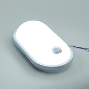 LED 방수 센서등 타원형 20W 직부 현관 벽부등 외부 방습 야외 옥외 실외 조명