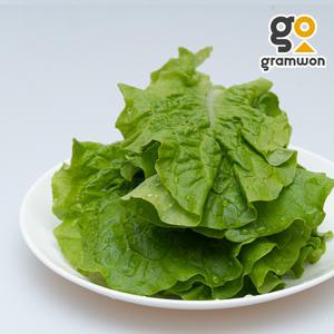 청상추 2KG 아삭이 로메인 상추 쌈채소