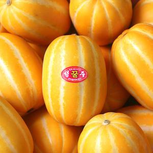 [장터할매]성주 꿀 참외 10kg 제철과일