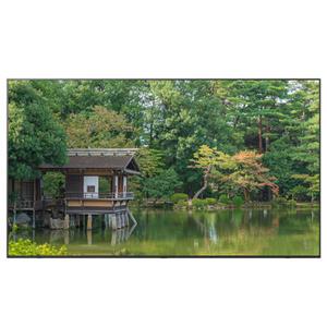 LG전자 65UT8300ENA 울트라 각도조절벽걸이 4K UHD LED TV 전국추가비용없음 국민전자