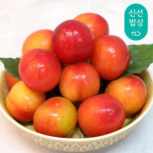 하우스 자두 600g 외 (택1)